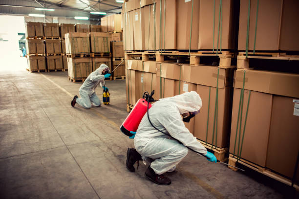 Best Local Pest Control Services  in Decatur, AL