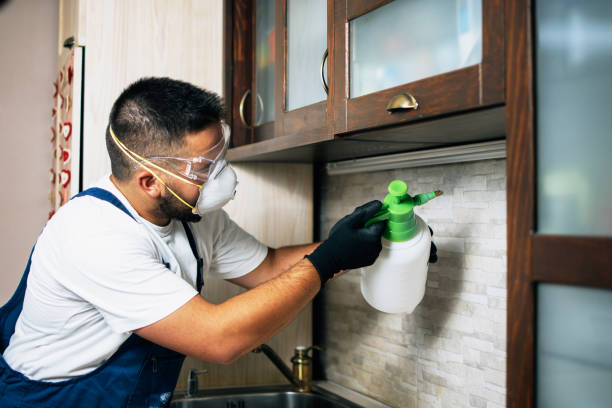Best Emergency Pest Control  in Decatur, AL
