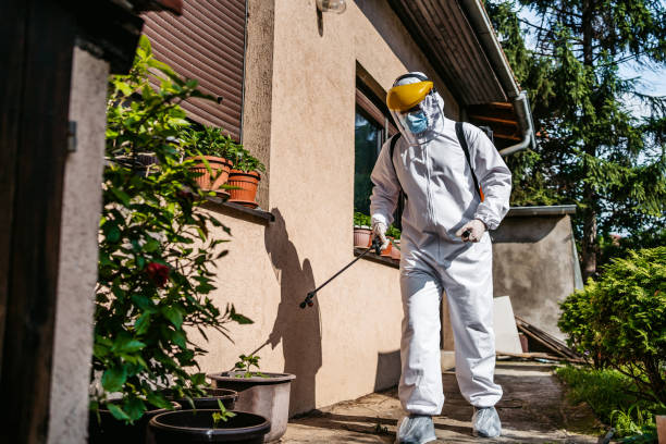 Best Wasp Removal Services  in Decatur, AL