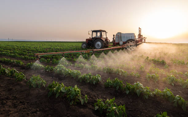 Best Pest Removal Services  in Decatur, AL
