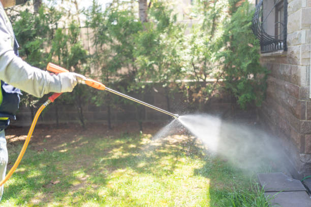 Best Pest Removal Services  in Decatur, AL