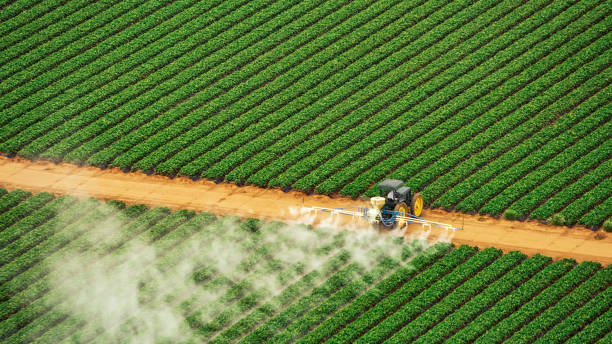 Best Ant Control Services  in Decatur, AL