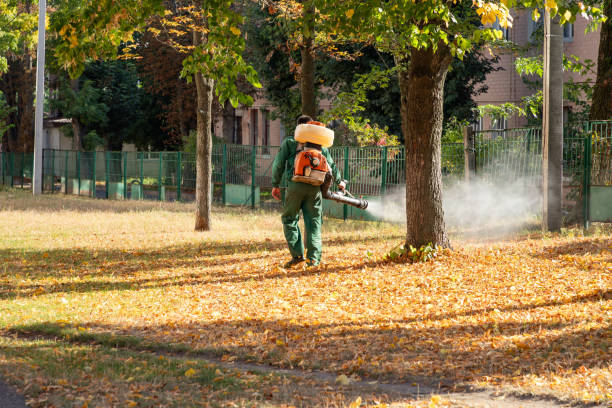 Best Pest Prevention Services  in Decatur, AL