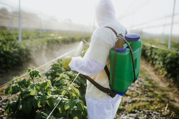 Best Cockroach Control Services  in Decatur, AL